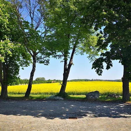 Bahnhof - Hohen Mistorf