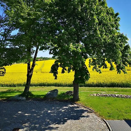 Bahnhof - * Hohen Mistorf