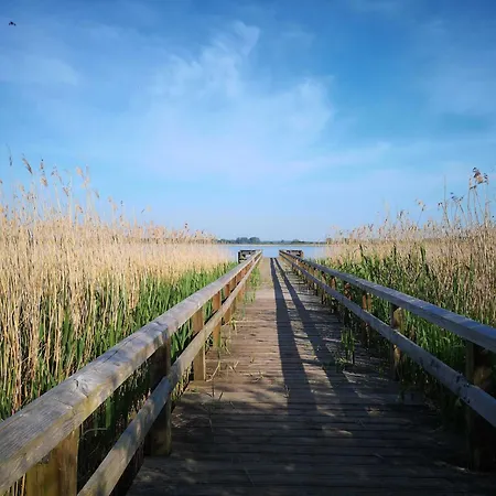 Bahnhof - Hohen Mistorf