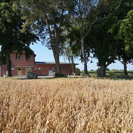 Bahnhof - * Hohen Mistorf