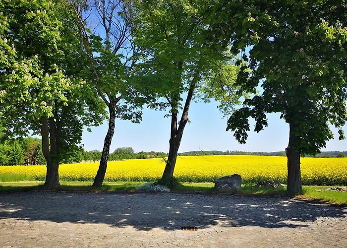 Bahnhof - Hohen Mistorf