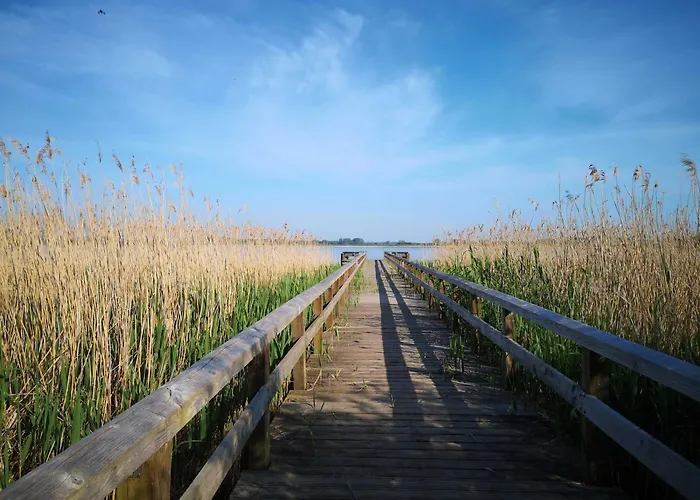 Bahnhof - Hohen Mistorf
